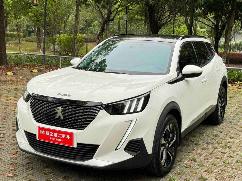 2008 Peugeot 2022 230THP THE ONE