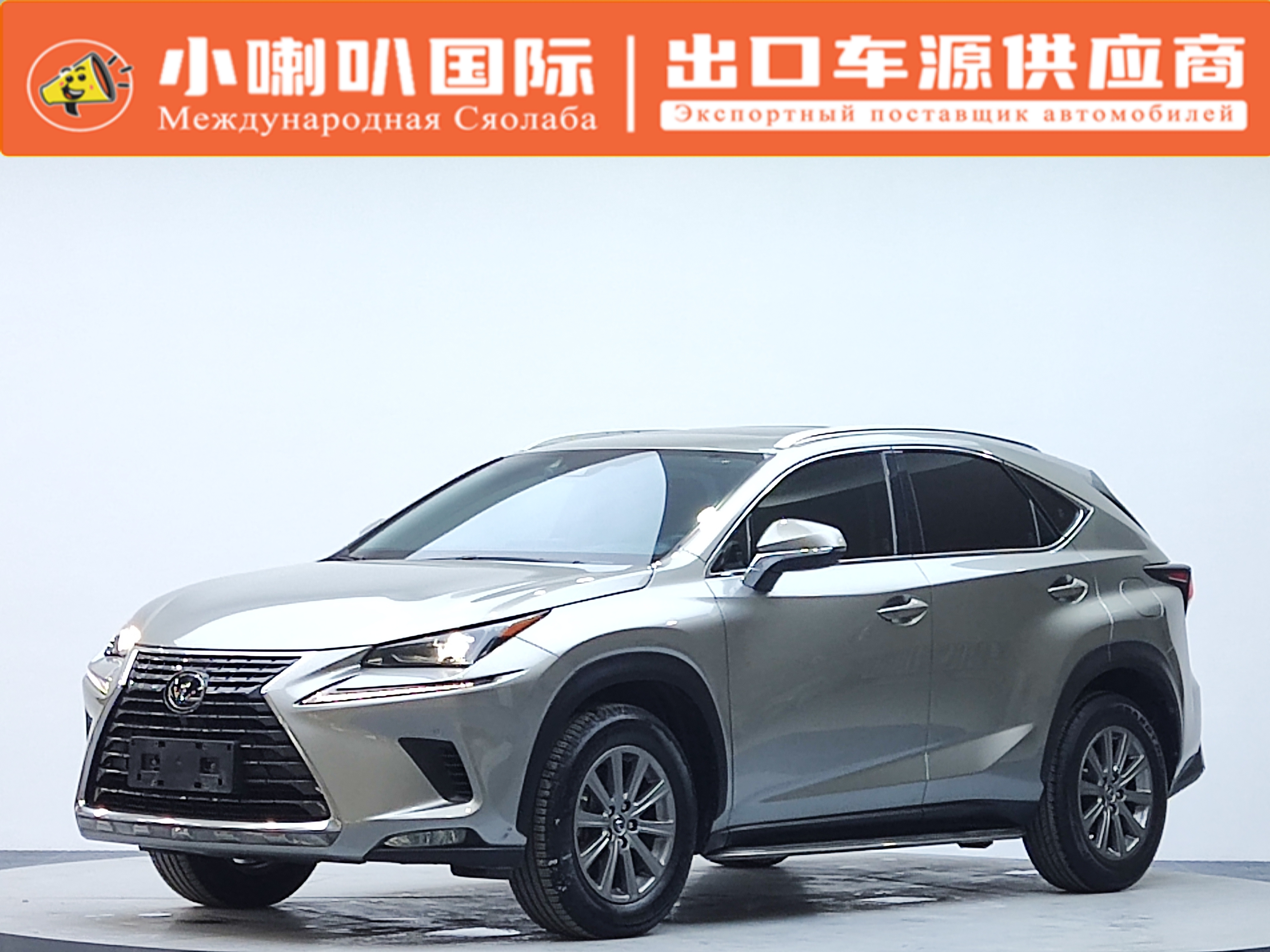 Lexus NX 2020 200 VI