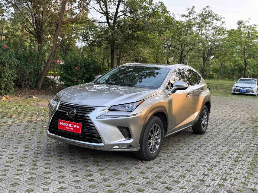Lexus NX 2020 200 AWD Fashionable (Fēngshàng Bǎn) National VI
