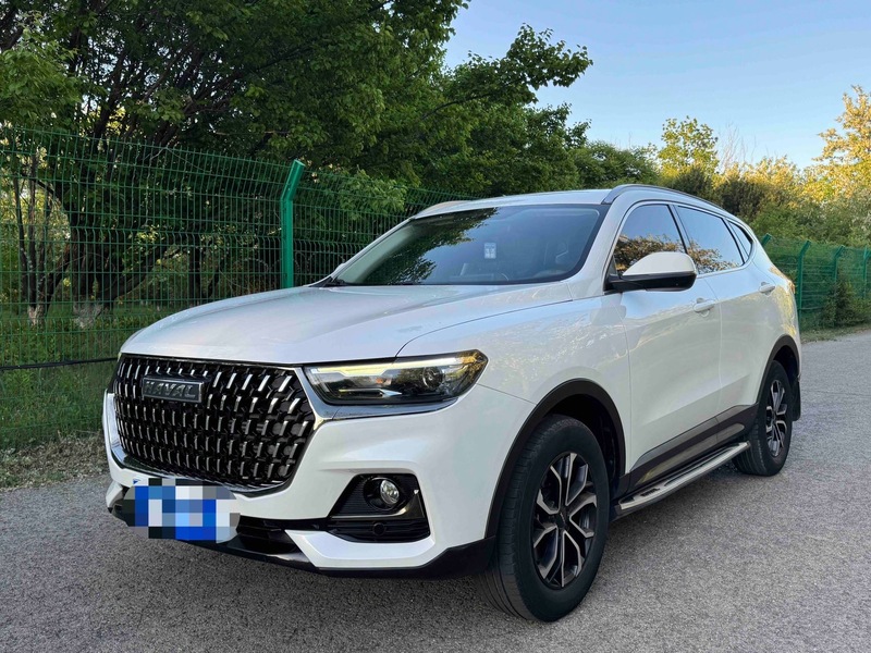 2021 Haval H6 National Trend Edition 1.5T Automatic City Edition (Guó Cháo Bǎn, Zìdòng Dūshì Bǎn)