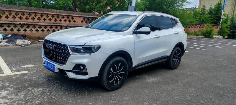 2023 Haval H6 National Trend Edition 1.5T Automatic City Edition (Guócháo Bǎn, Zìdòng Dūshì Bǎn)