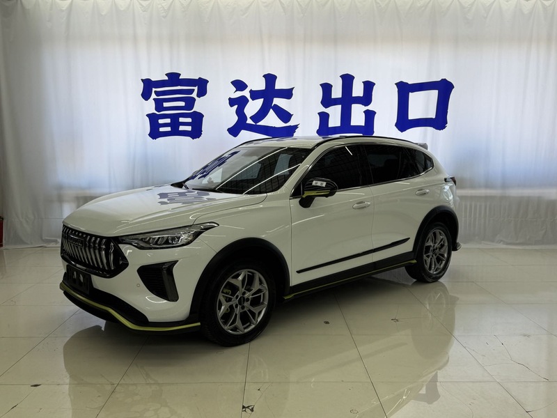 2022 Haval Chitu Enjoy Edition 1.5T Bronze Rabbit (Jìnxiǎng Bǎn 1.5T Zǐtóng Tù)