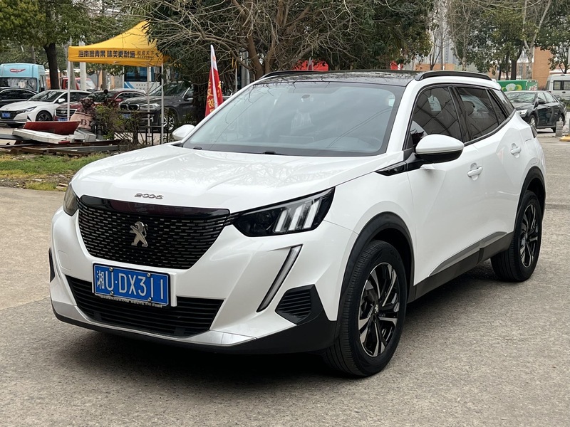 2008 Peugeot 2022 230THP THE ONE