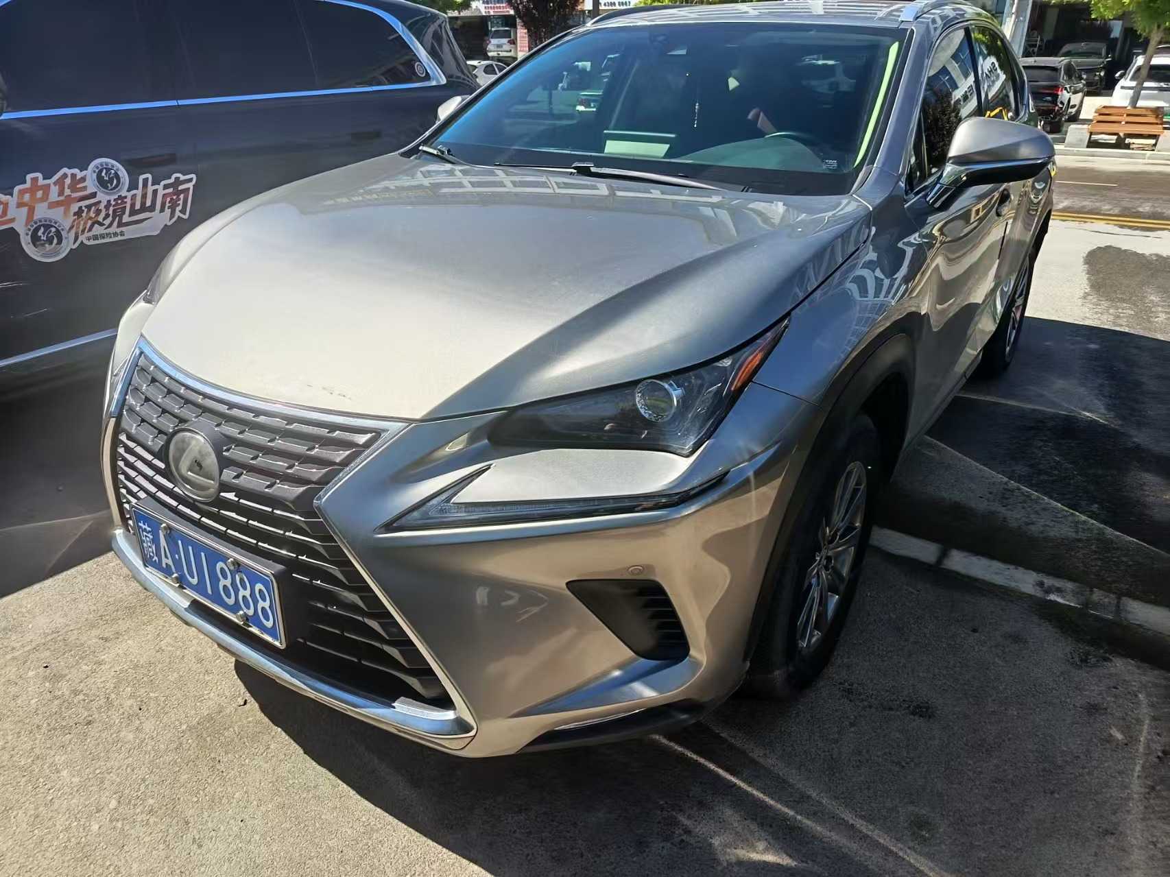 Lexus NX 2020 200 AWD Fashion Edition (Fēngshàng Bǎn) China VI