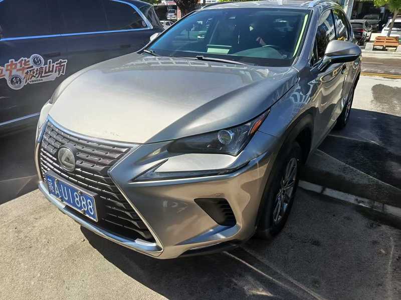 2020 Lexus NX 200 AWD Fashion Edition National VI (Fēng Shàng Bǎn Guó VI)