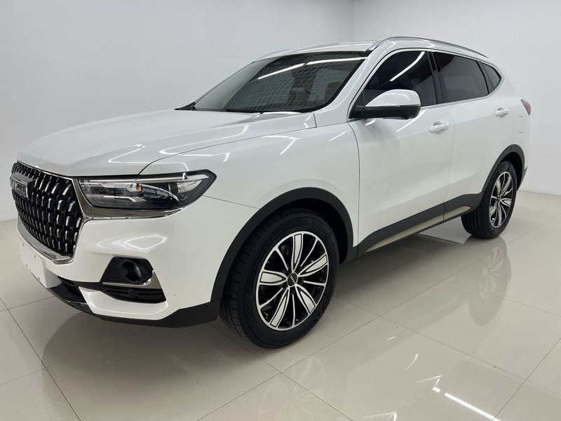 2023 Haval H6 National Trend Edition 1.5T Automatic Champion Edition (Guócháo Bǎn, Guànjūn Bǎn)