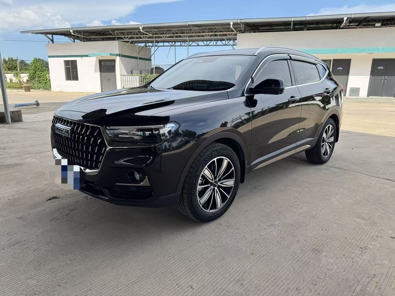 2023 Haval H6 National Trend 1.5T Automatic Champion Edition (Guó Cháo Bǎn, Guànjūn Bǎn)