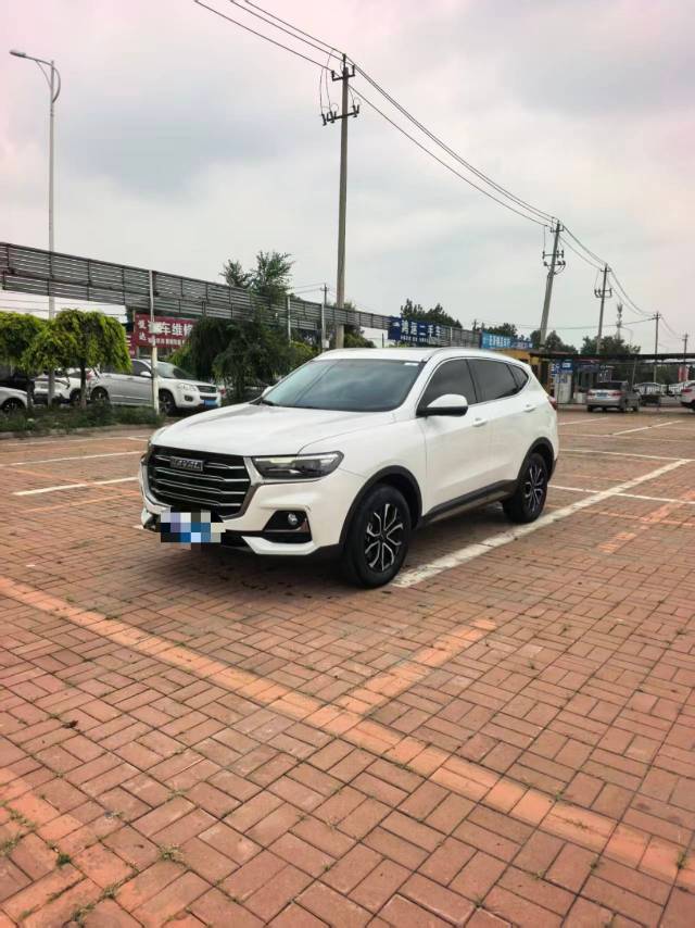 2021 Haval H6 National Trend 1.5T Automatic City Edition (Guó Cháo Bǎn, Zìdòng Dūshì Bǎn)