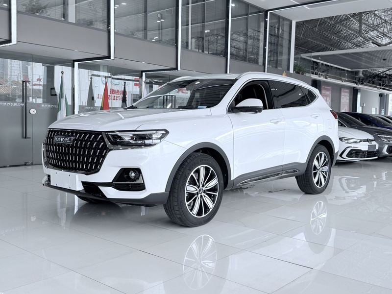 2023 Haval H6 National Trend Edition 1.5T Automatic Champion Edition (Guócháo Bǎn, Guànjūn Bǎn)