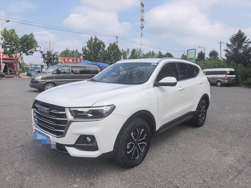 2021 Haval H6 1.5T Automatic City Edition (Dūshì Bǎn)