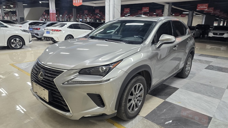 2020 Lexus NX 200 AWD Fashion (Fēngshàng Bǎn) National VI