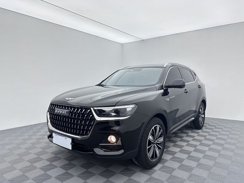 2023 Haval H6 National Trend Edition 1.5T Automatic Champion Edition (Guócháo Bǎn, Guànjūn Bǎn)