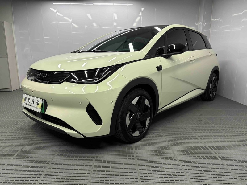 2025 BYD Dolphin Smart Driving Edition 520km Knight Edition (Zhìjià Bǎn, Qíshì Bǎn)
