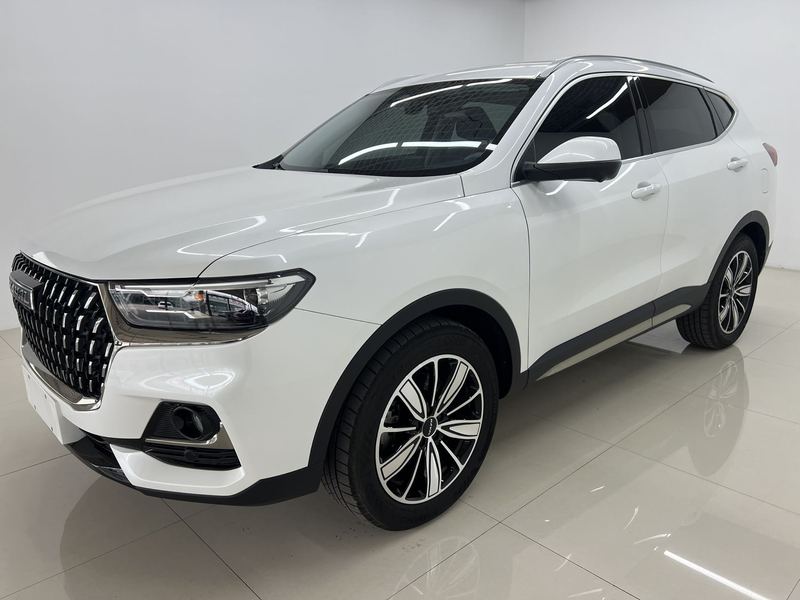 2023 Haval H6 National Trend Edition 1.5T Automatic Champion Edition (Guócháo Bǎn, Guànjūn Bǎn)