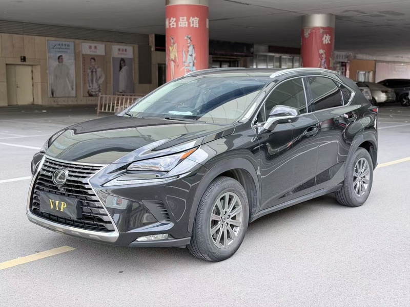 2020 Lexus NX 200 AWD Fashion Edition (Fēngshàng Bǎn) China VI