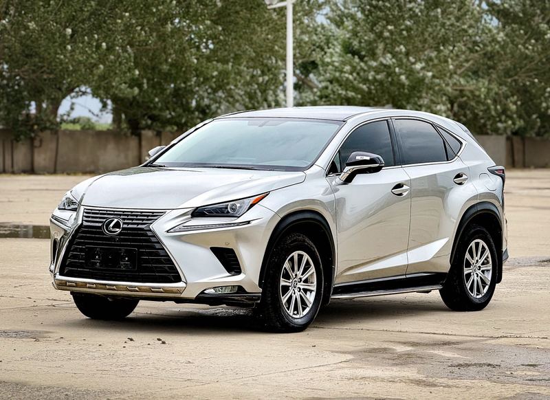 2020 Lexus NX 200 V Front-Wheel Drive Edge (Fēngxíng Bǎn) China