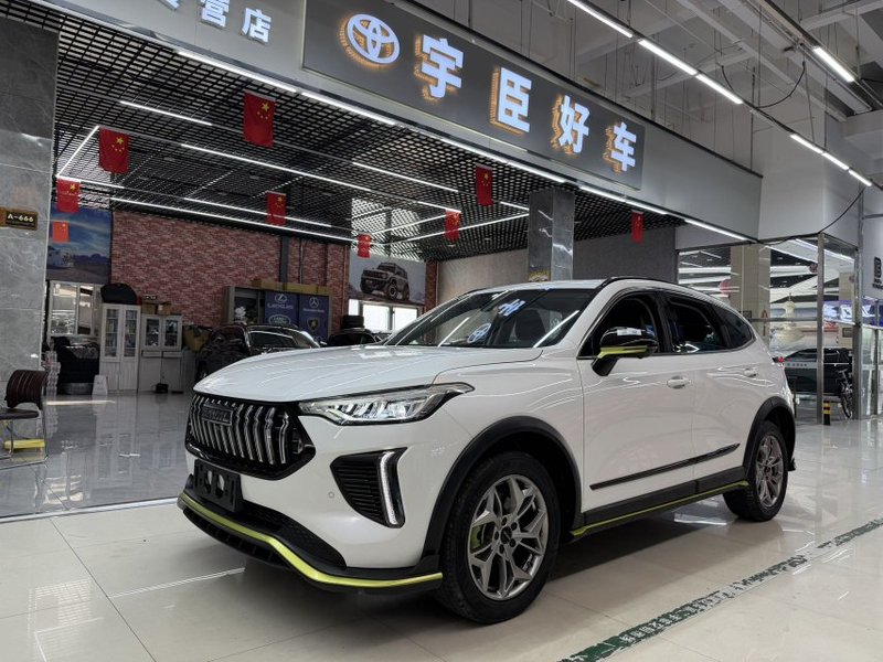 2022 Haval 1.5T Chitu Enjoy Edition Purple Copper Rabbit (Jìnxiǎng Bǎn 1.5T Zǐtóng Tù)