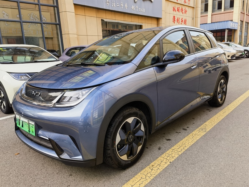 2025 BYD Dolphin 420km Free Edition (Zìyóu Bǎn)